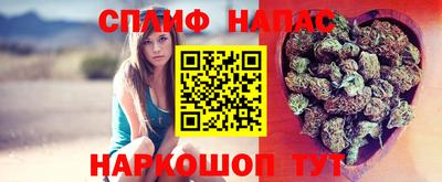 амф Новокубанск
