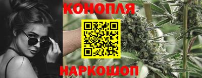 мет Новозыбков