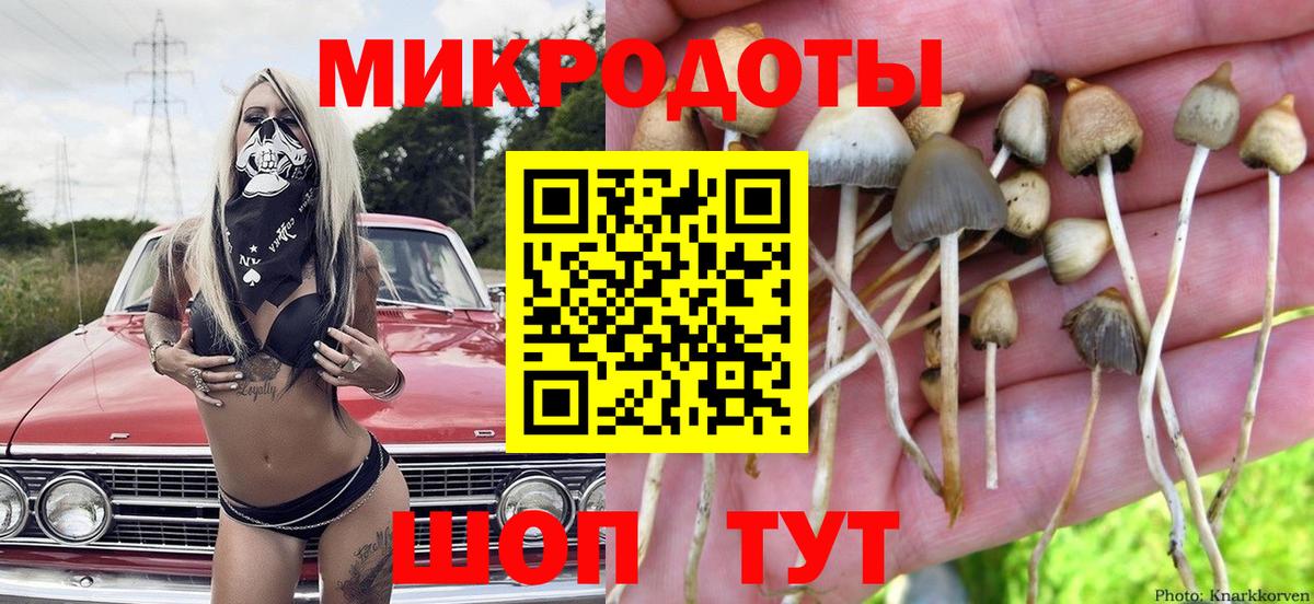 Псилоцибиновые грибы мицелий Славгород