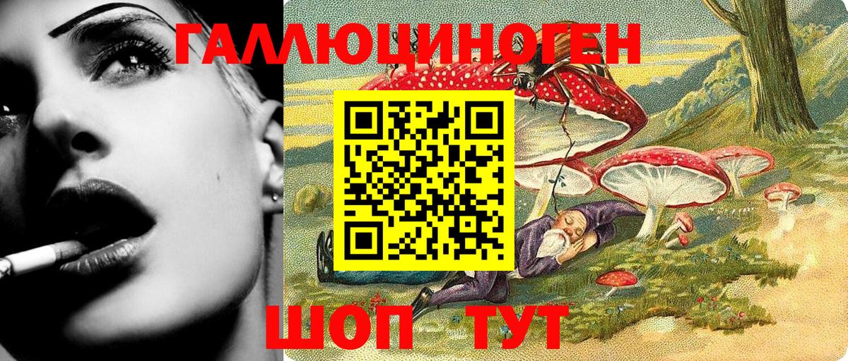купить наркотики цена  Вход с VPN  Славгород  Псилоцибиновые грибы Psilocybine cubensis  Галлюциногенные грибы прущие грибы 