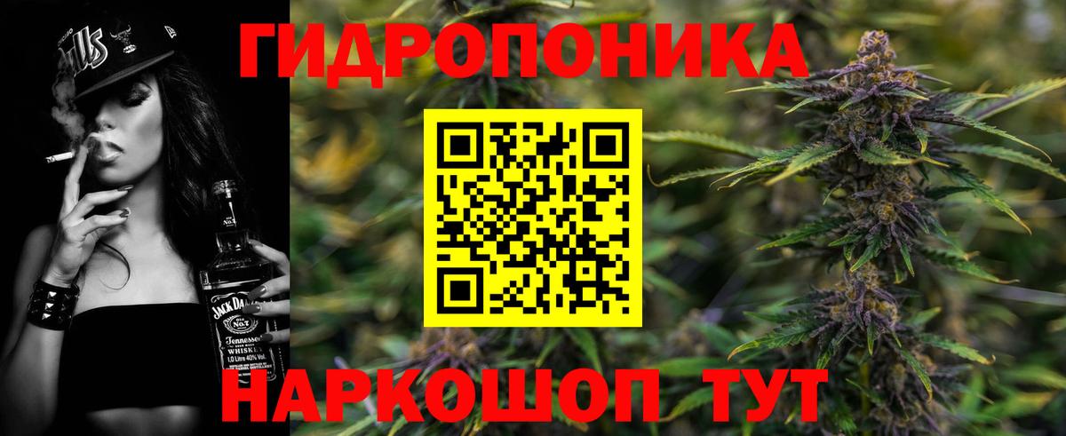 МАРИХУАНА OG Kush Славгород